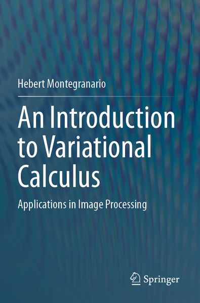 An Introduction to Variational Calculus