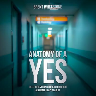 Anatomy of a Yes