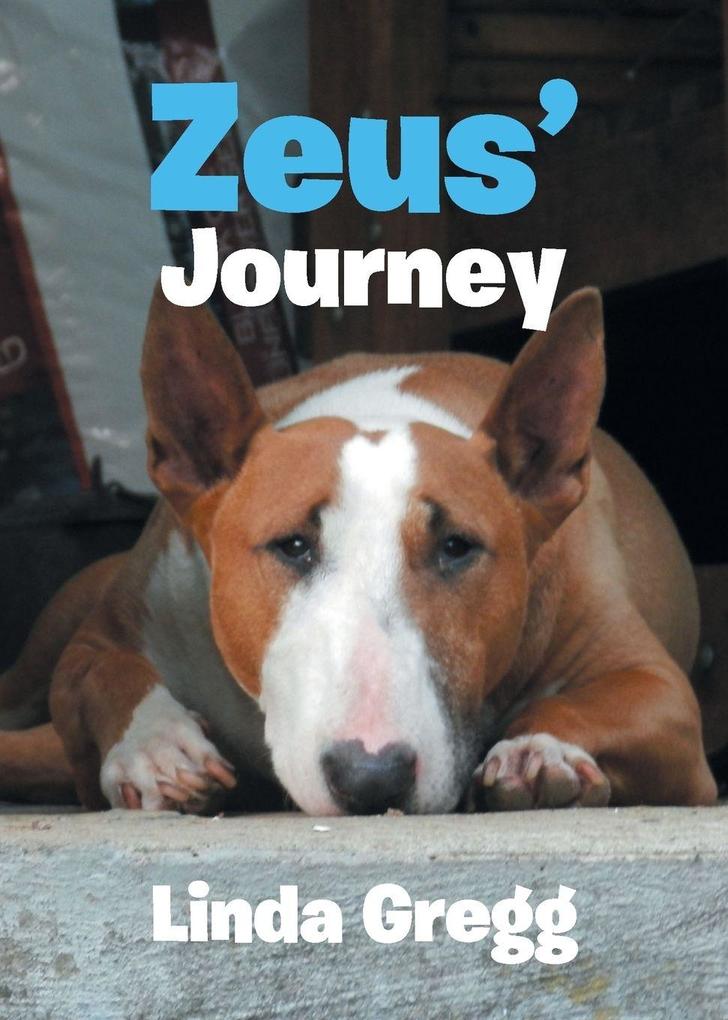 Zeus' Journey