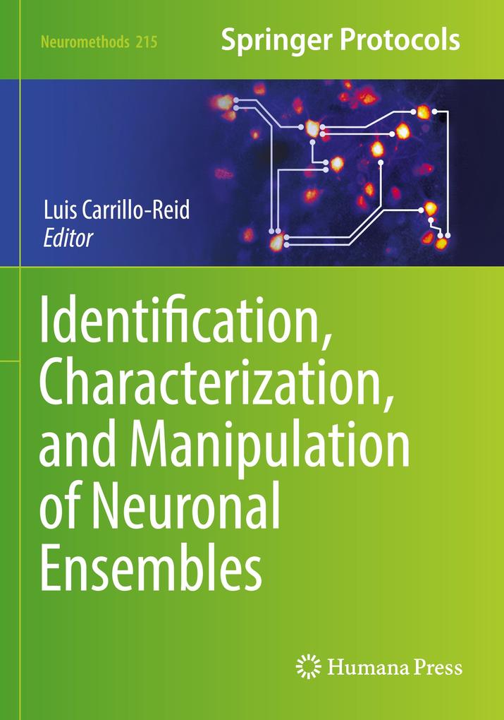 Identification Characterization and Manipulation of Neuronal Ensembles