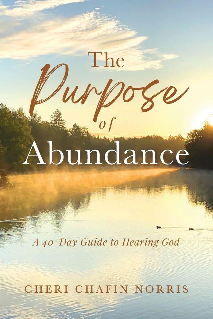 The Purpose of Abundance