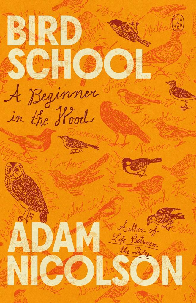 Bird School