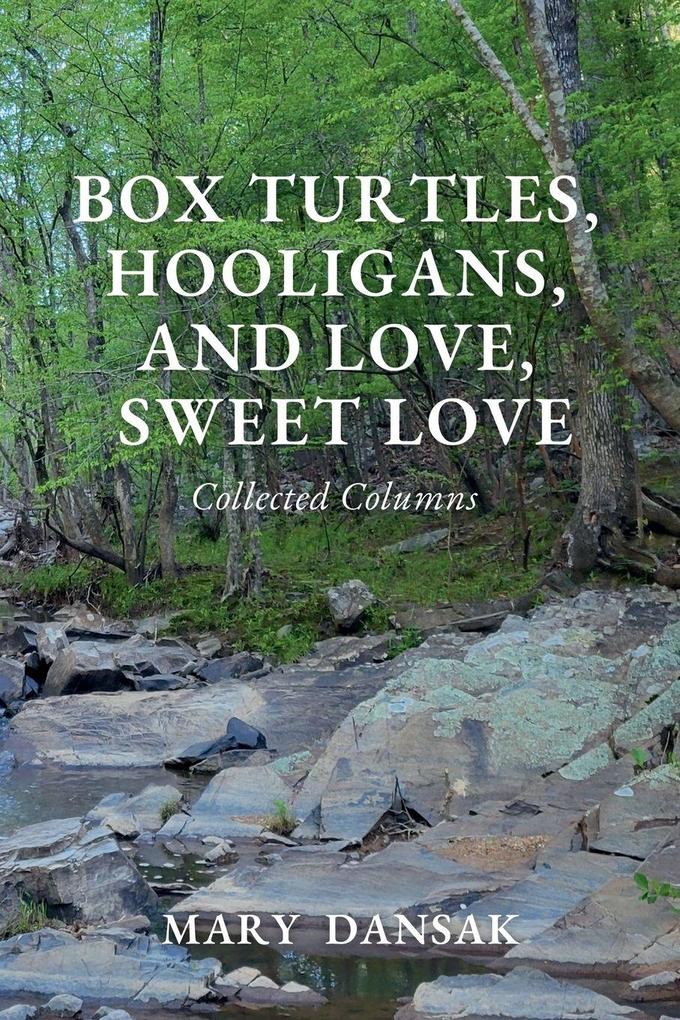 Box Turtles Hooligans and Love Sweet Love