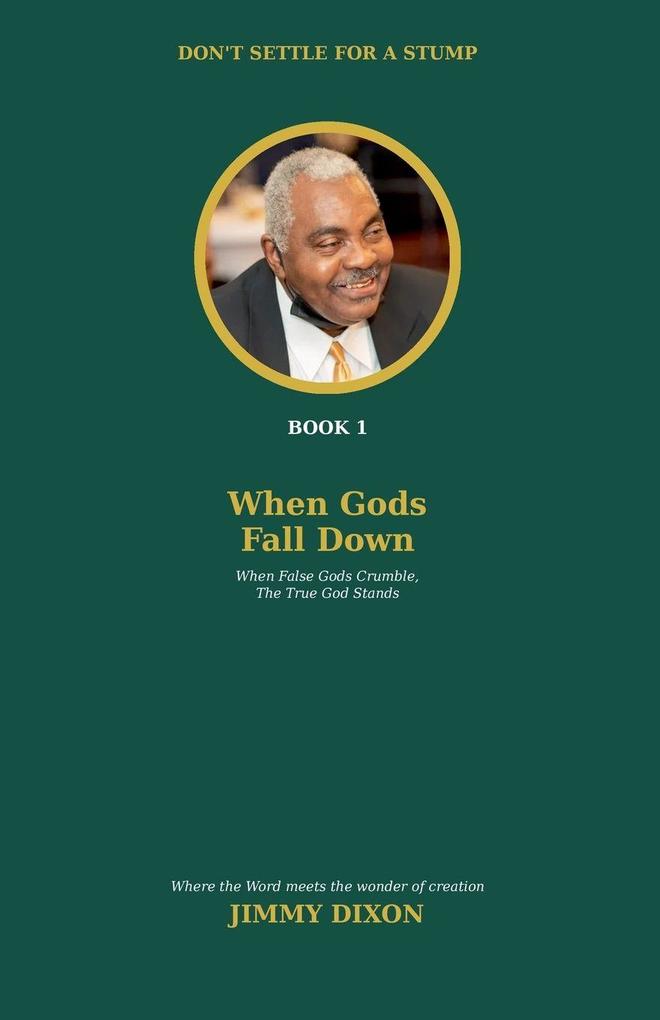 DON'T SETTLE FOR A STUMP BOOK 1 When Gods Fall Down