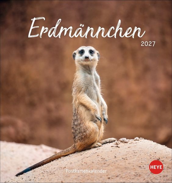 Erdmännchen Postkartenkalender 2027