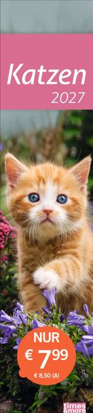 times&more Katzen Langplaner 2027