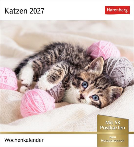 Katzen Postkartenkalender 2027 - Wochenkalender mit 53 Postkarten