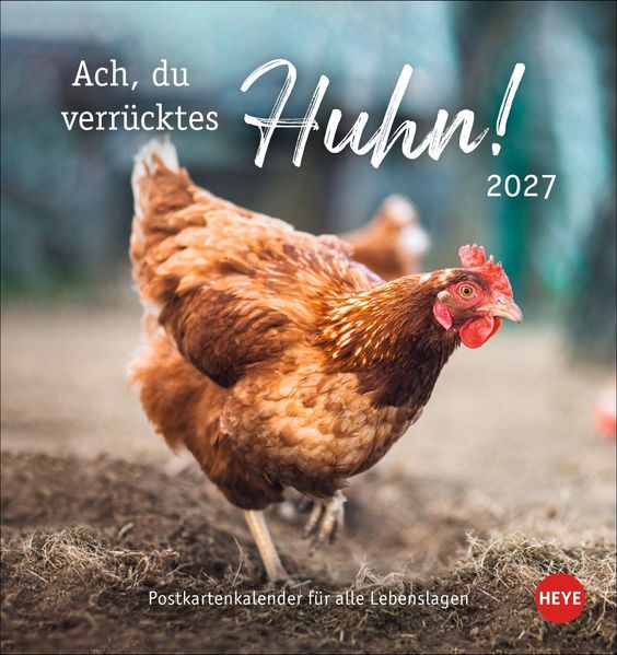 Hühner Postkartenkalender 2027 - Ach du verrücktes Huhn!