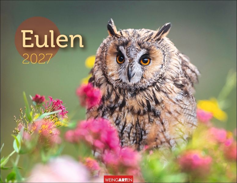 Eulen Kalender 2027