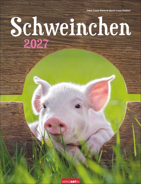 Schweinchen Kalender 2027
