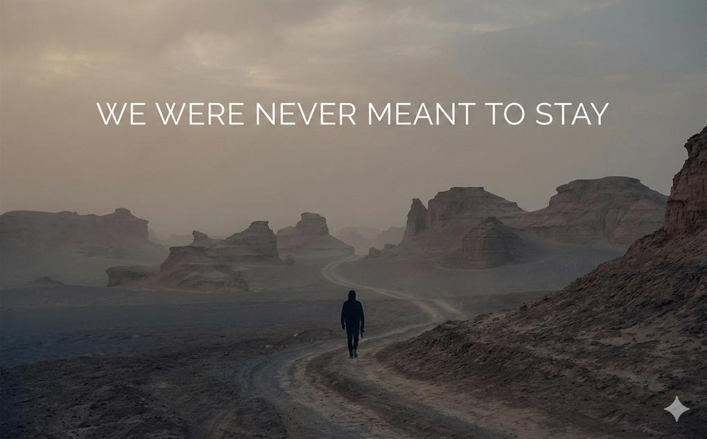 We Were Never Meant To Stay