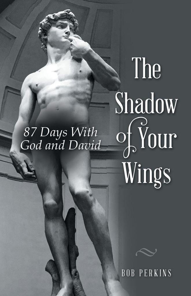 The Shadow of Your Wings