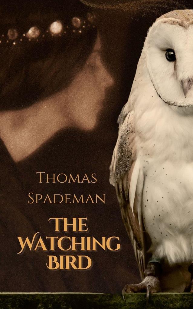 The Watching Bird