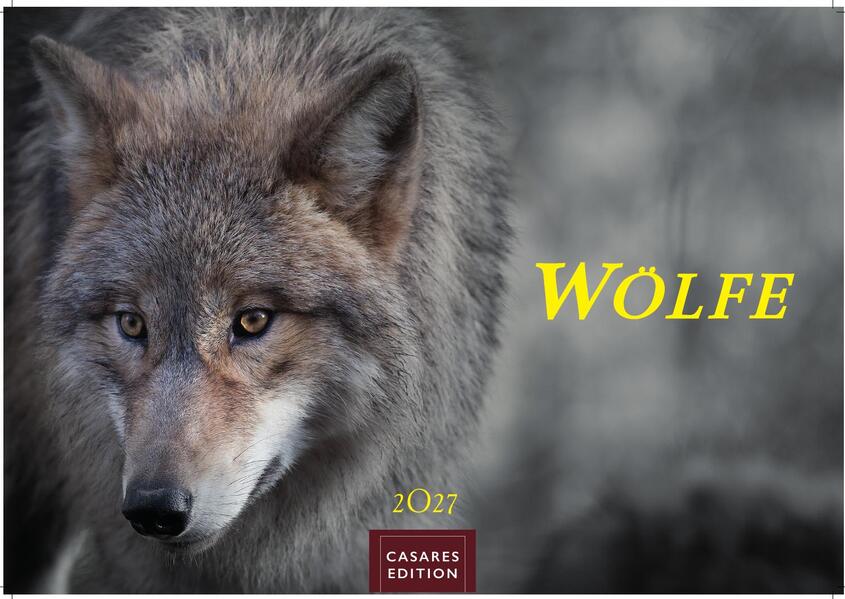 Wölfe Kalender 2027 - Wandkalender | Fotokalender Tierkalender 24x35cm - . mit faszinierenden Wolf-Motiven