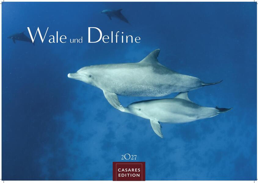 Wale und Delfine Kalender 2027 - Wandkalender | Fotokalender Tierkalender 35x50cm Grosses Format - Hochwertige Fotografien von Walen und Delfinen die jeden Monat begeistern.