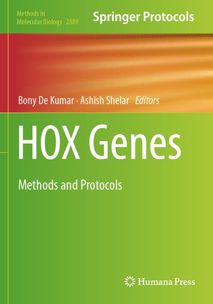 HOX Genes