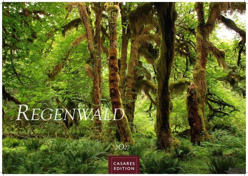 Regenwald Kalender 2027 - Wandkalender | Fotokalender Naturkalender 35x50cm | Wunderschöne Fotos tropischer Wälder und Landschaften