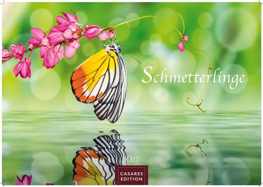 Schmetterlinge Kalender 2027 - Wandkalender | Fotokalender Tierkalender 35x50cm Grosses Format - Mit wunderschönen detailreichen Bildern von Schmetterlingen.