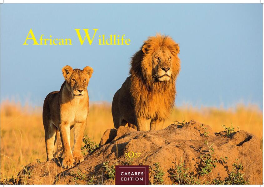 Wilde Tiere Afrikas Kalender 2027 - Wandkalender | Fotokalender Afrika 24x35cm | Naturfotografie | Tierkalender Afrika | Geschenk für Naturliebhaber