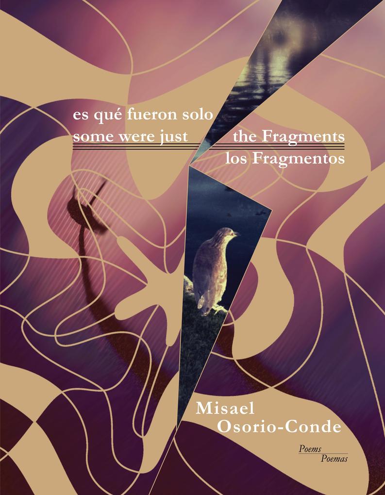 Some Were Just the Fragments // Es Que Fueron Solo Los Fragmentos