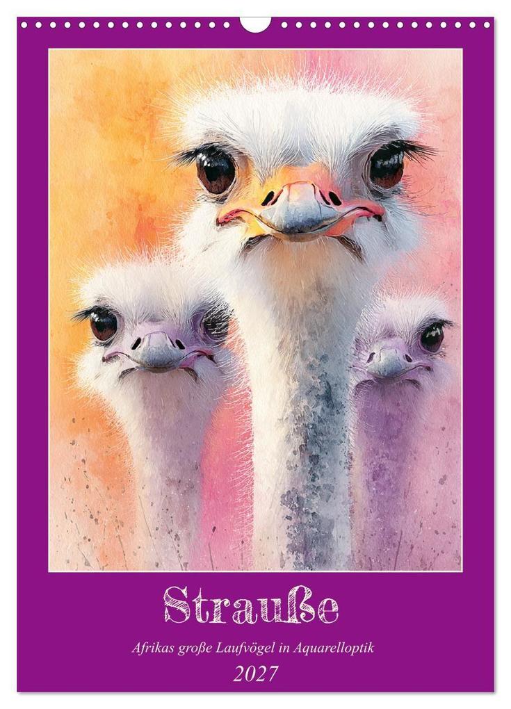 Strauße. Afrikas große Laufvögel in Aquarelloptik (Wandkalender 2027 DIN A3 hoch) CALVENDO Monatskalender