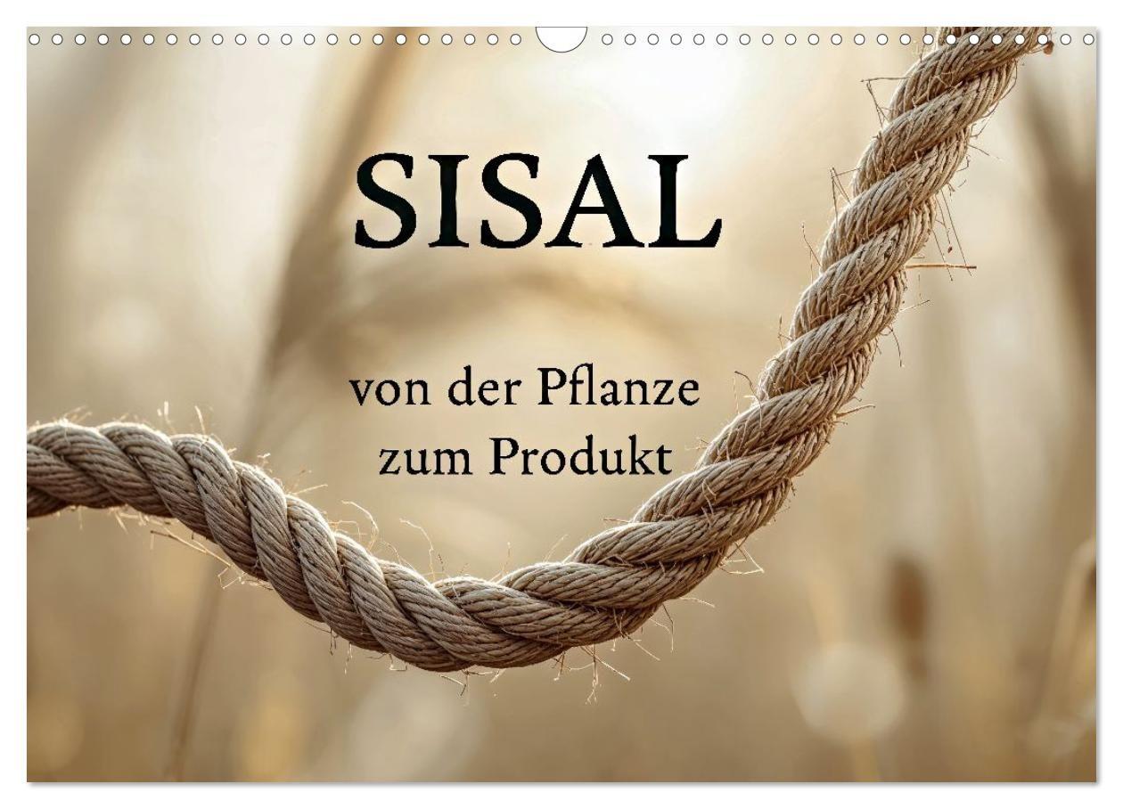 SISAL - von der Pflanze zum Produkt (Wandkalender 2027 DIN A3 quer) CALVENDO Monatskalender
