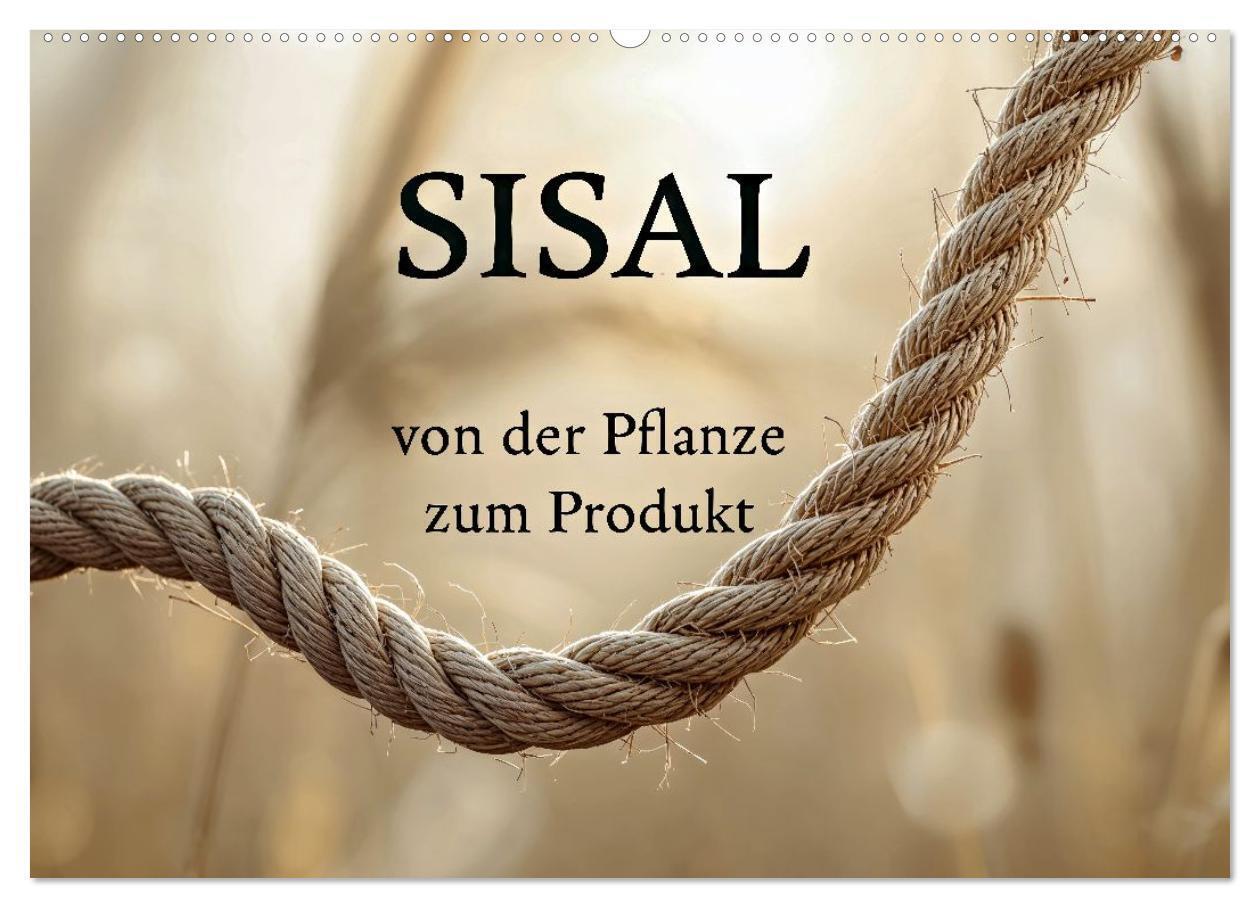 SISAL - von der Pflanze zum Produkt (Wandkalender 2027 DIN A2 quer) CALVENDO Monatskalender