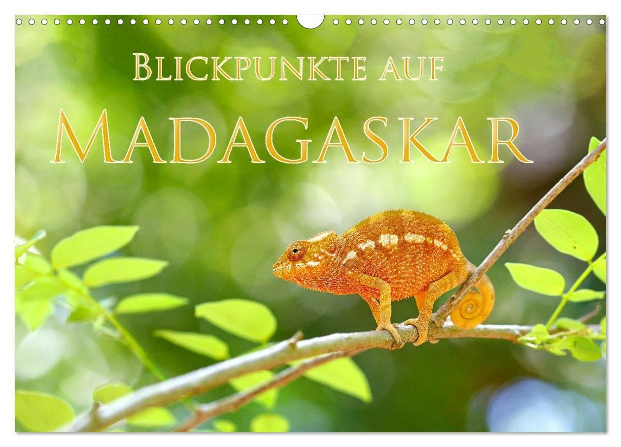 Blickpunkte auf Madagaskar (Wandkalender 2027 DIN A3 quer) CALVENDO Monatskalender