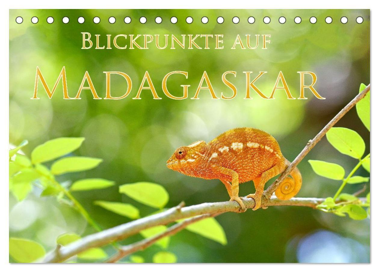 Blickpunkte auf Madagaskar (Tischkalender 2027 DIN A5 quer) CALVENDO Monatskalender