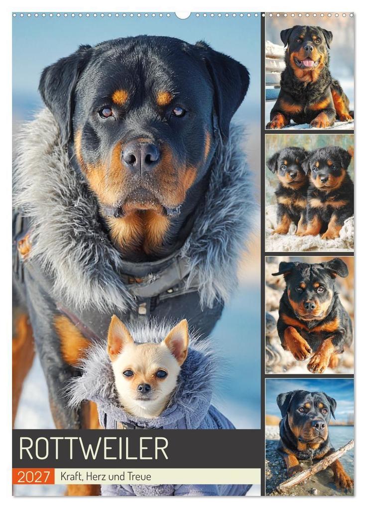 Rottweiler. Kraft Herz und Treue (Wandkalender 2027 DIN A2 hoch) CALVENDO Monatskalender
