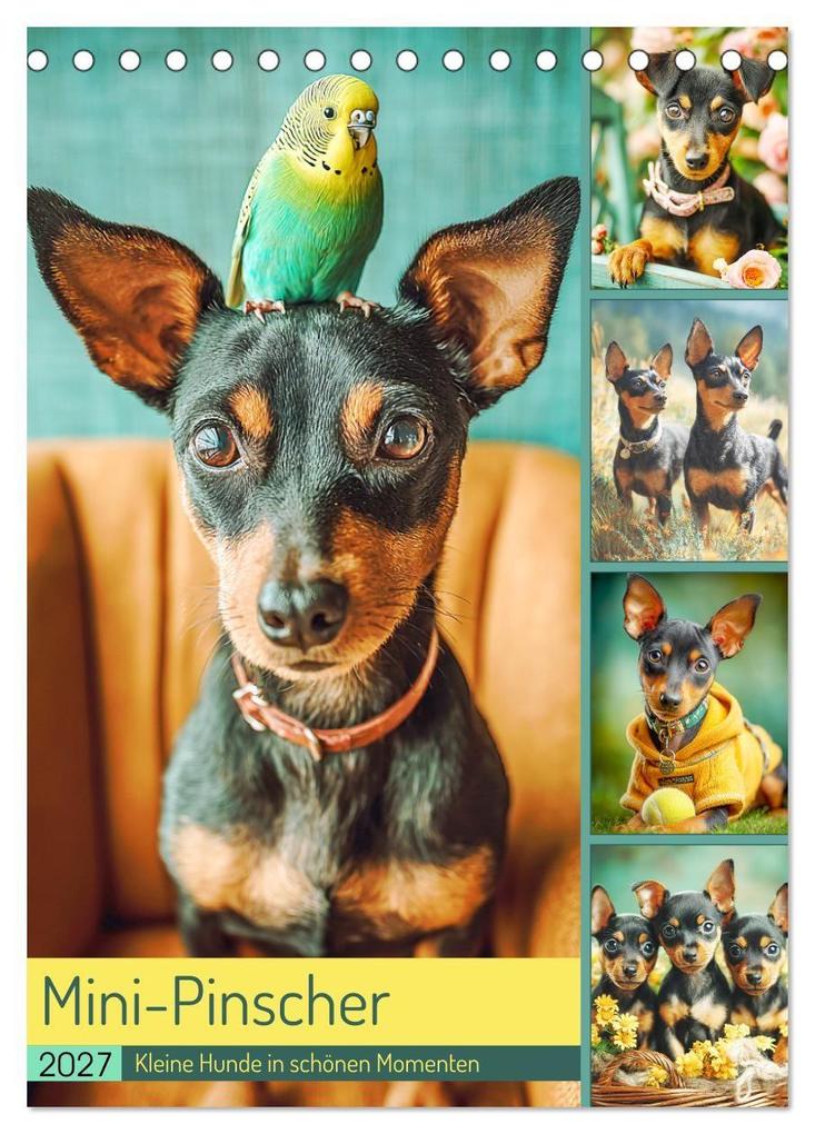 Mini-Pinscher. Kleine Hunde in schönen Momenten (Tischkalender 2027 DIN A5 hoch) CALVENDO Monatskalender