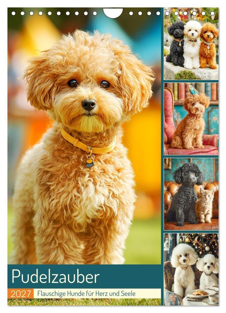 Pudelzauber. Flauschige Hunde für Herz und Seele (Wandkalender 2027 DIN A4 hoch) CALVENDO Monatskalender