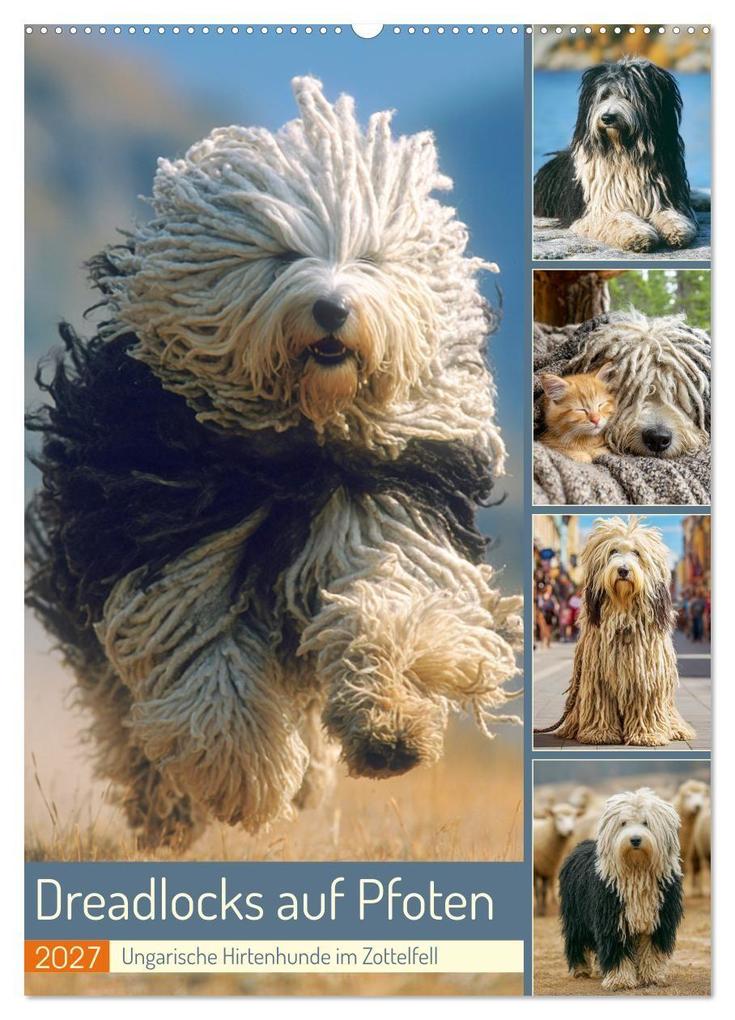 Dreadlocks auf Pfoten. Ungarische Hirtenhunde im Zottelfell (Wandkalender 2027 DIN A2 hoch) CALVENDO Monatskalender