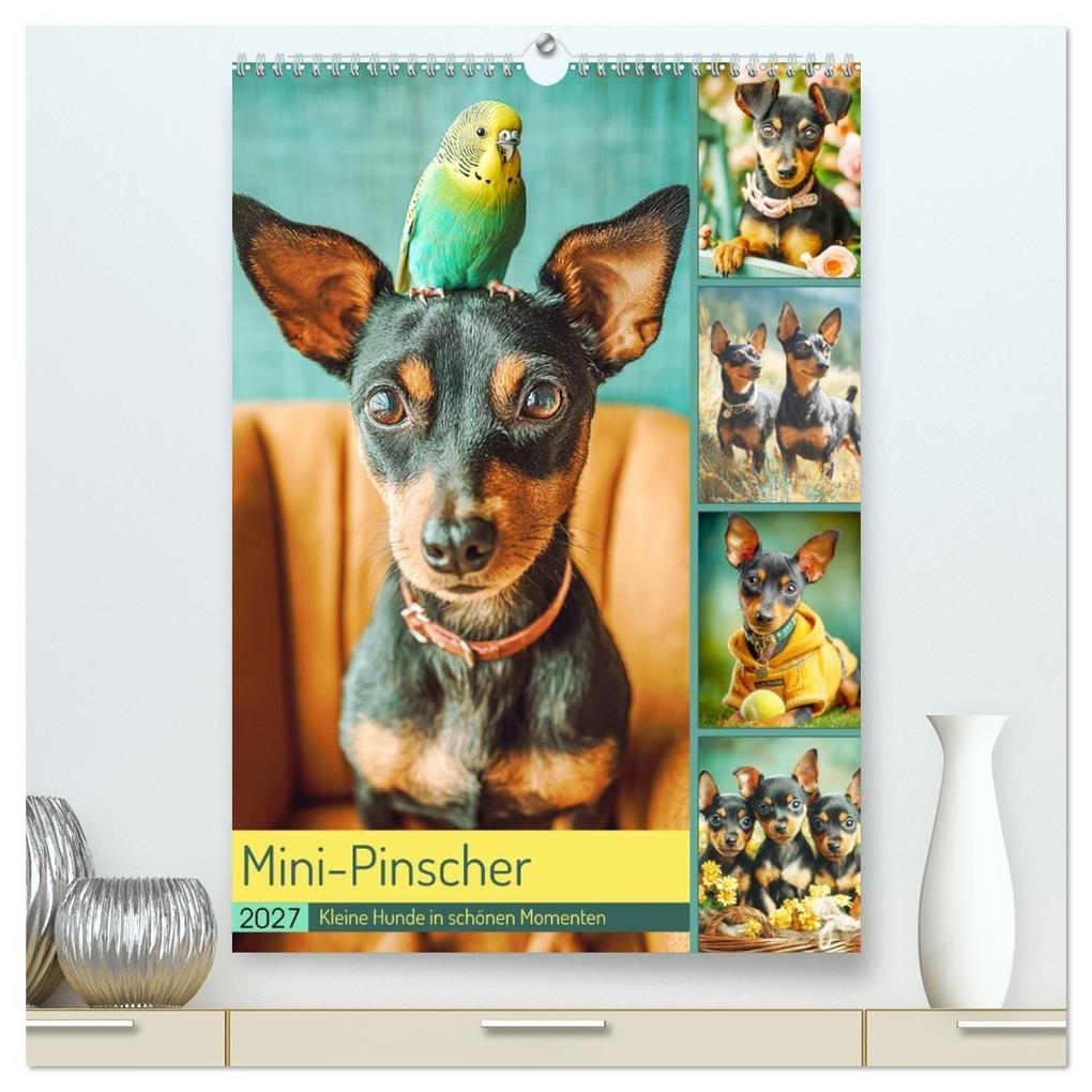 Mini-Pinscher. Kleine Hunde in schönen Momenten (hochwertiger Premium Wandkalender 2027 DIN A2 hoch) Kunstdruck in Hochglanz