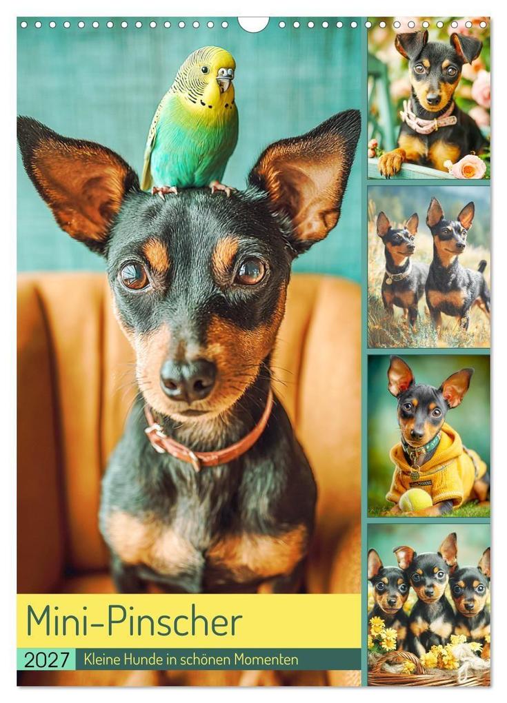 Mini-Pinscher. Kleine Hunde in schönen Momenten (Wandkalender 2027 DIN A3 hoch) CALVENDO Monatskalender