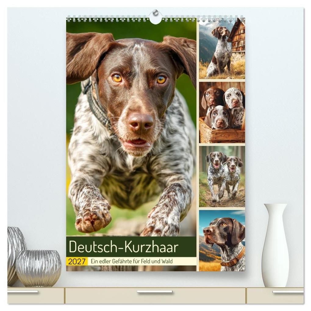 Deutsch-Kurzhaar. Ein edler Gefährte für Feld und Wald (hochwertiger Premium Wandkalender 2027 DIN A2 hoch) Kunstdruck in Hochglanz