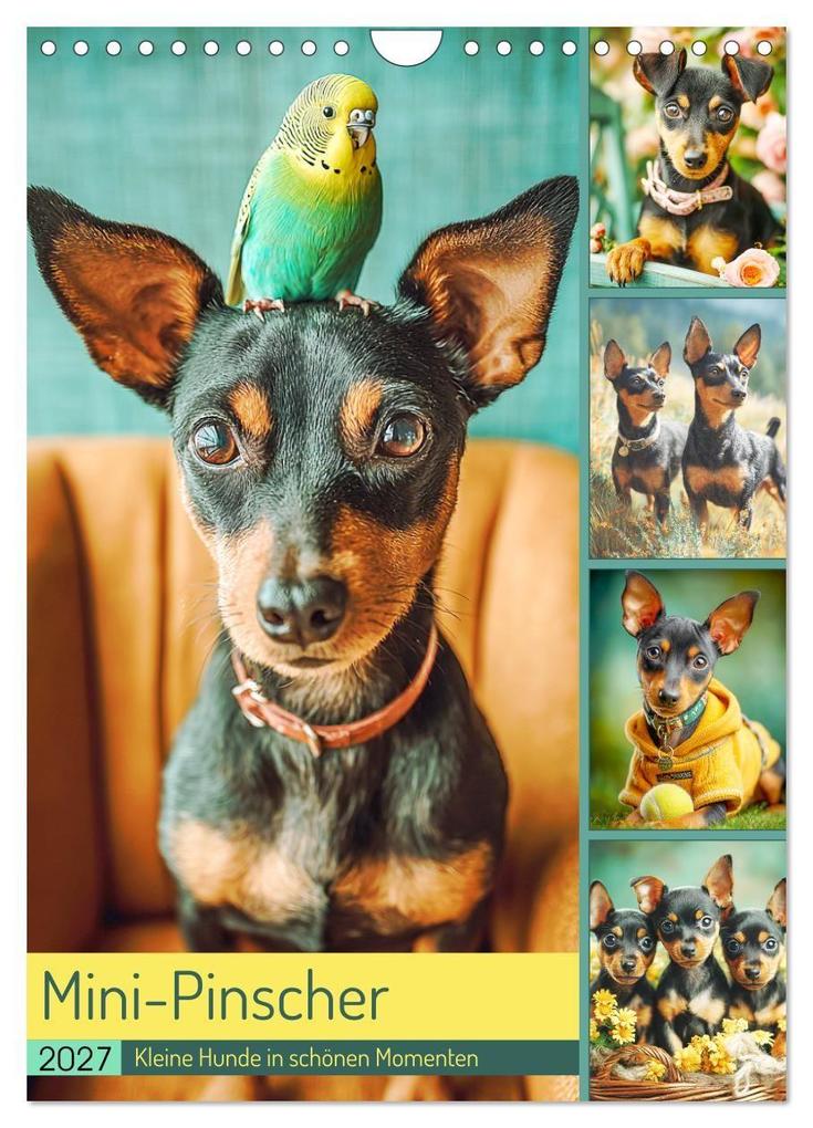 Mini-Pinscher. Kleine Hunde in schönen Momenten (Wandkalender 2027 DIN A4 hoch) CALVENDO Monatskalender