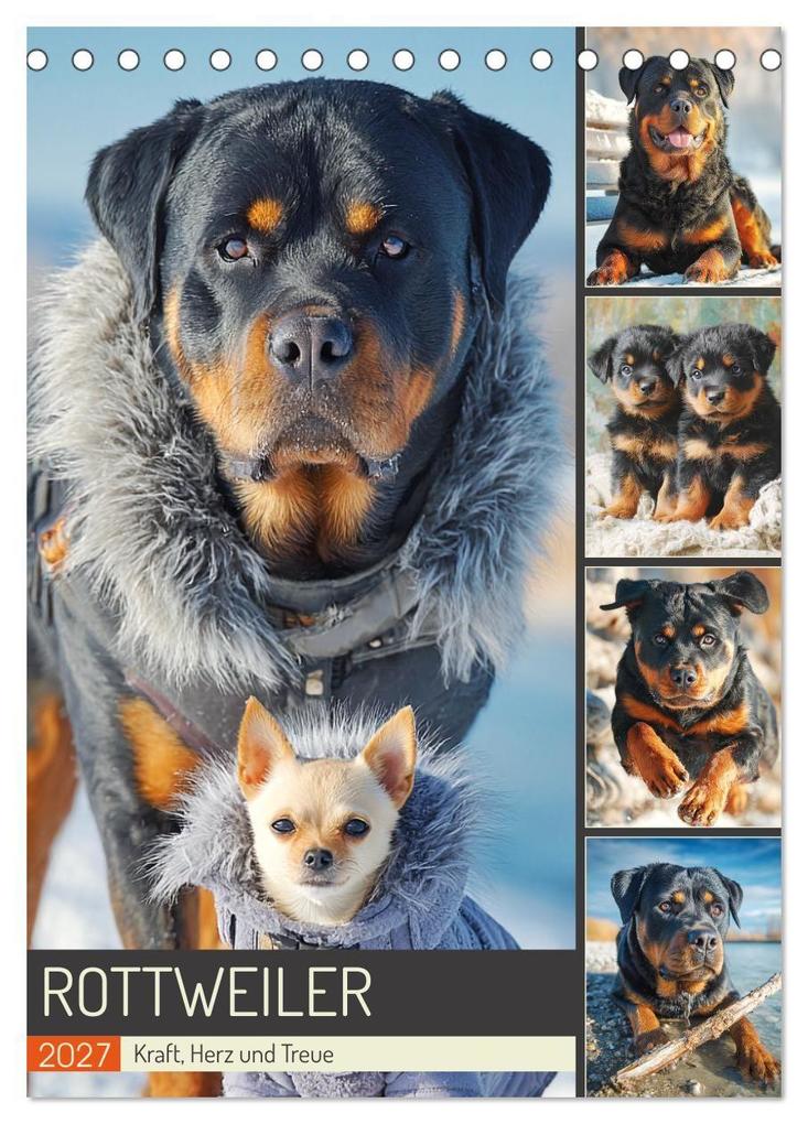 Rottweiler. Kraft Herz und Treue (Tischkalender 2027 DIN A5 hoch) CALVENDO Monatskalender