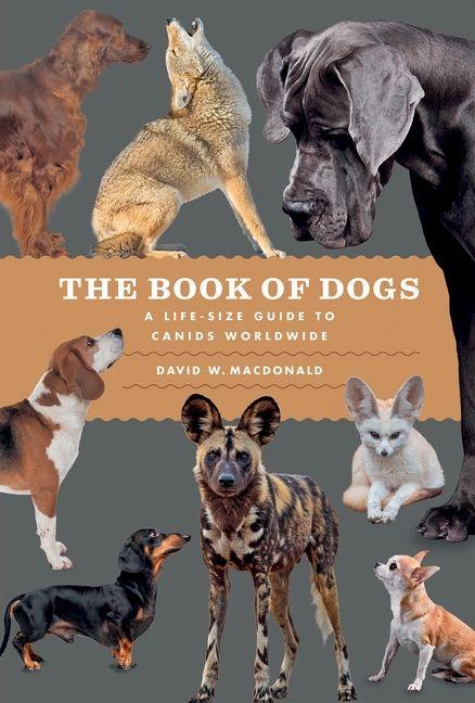 The Book of Dogs