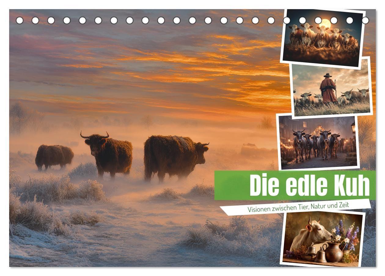 Die edle Kuh (Tischkalender 2027 DIN A5 quer) CALVENDO Monatskalender