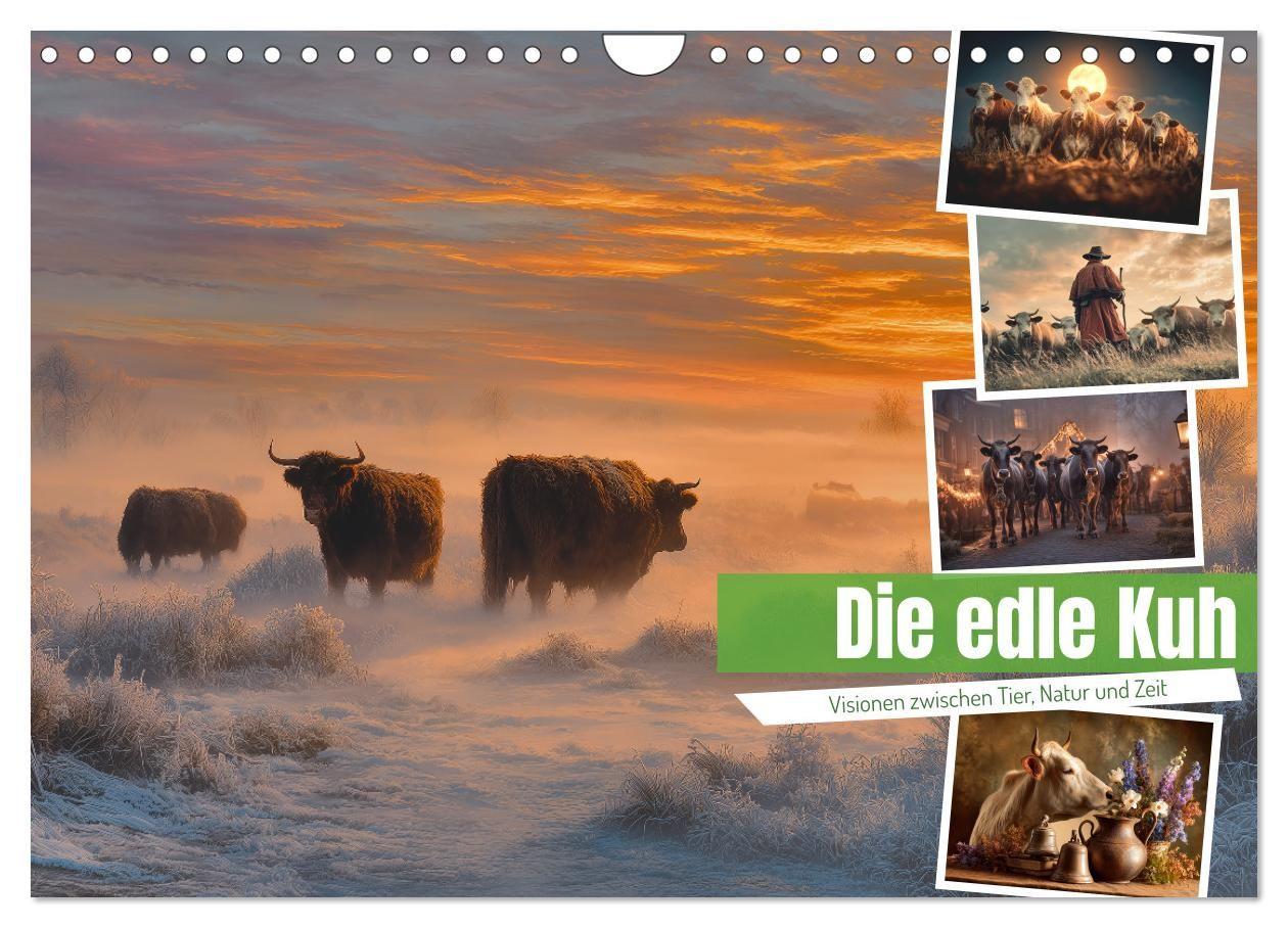 Die edle Kuh (Wandkalender 2027 DIN A4 quer) CALVENDO Monatskalender