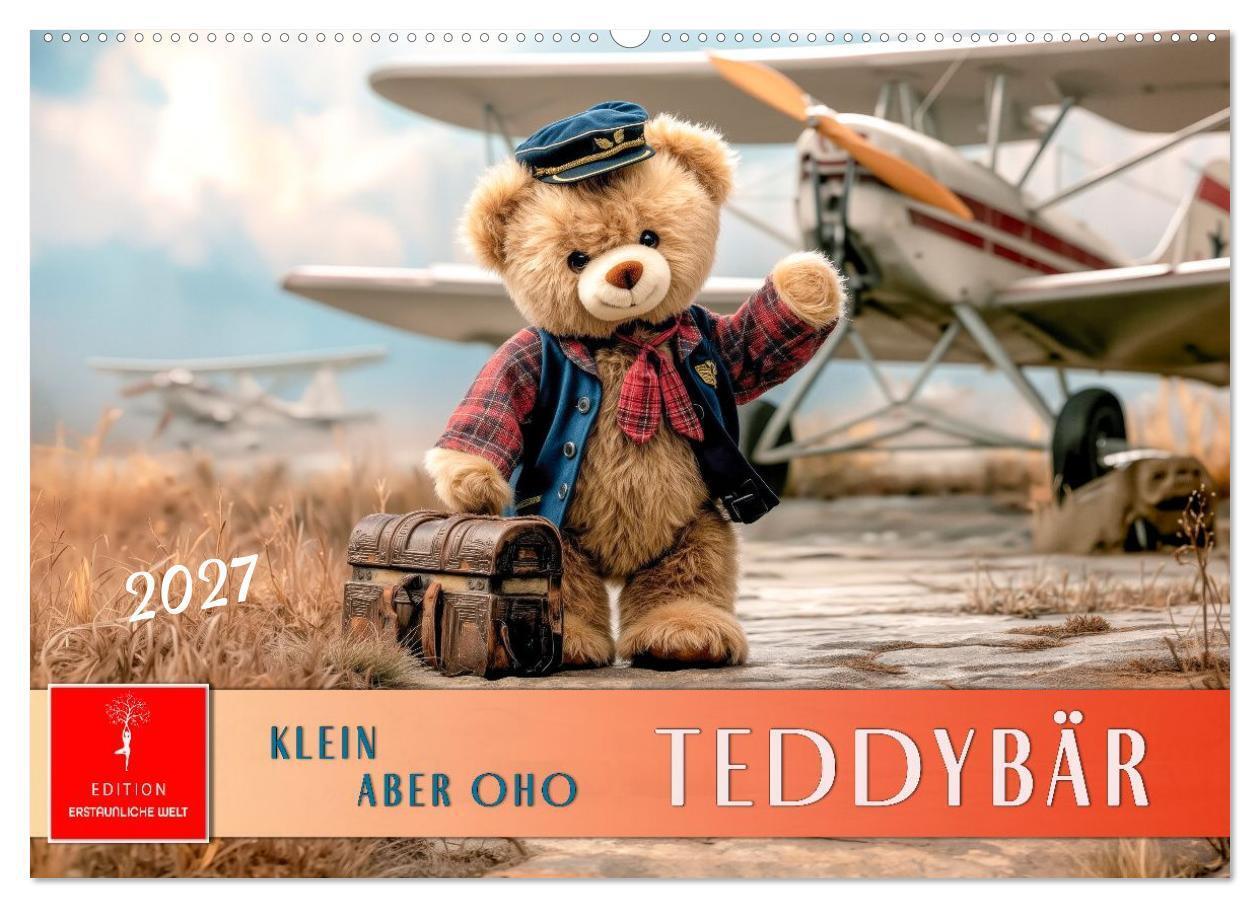 Teddybär - klein aber oho (Wandkalender 2027 DIN A2 quer) CALVENDO Monatskalender