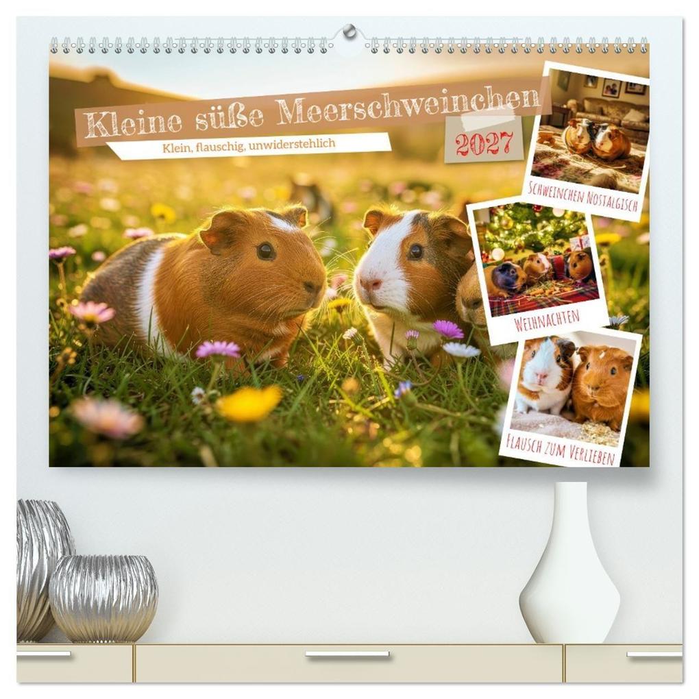 Kleine süße Meerschweinchen (hochwertiger Premium Wandkalender 2027 DIN A2 quer) Kunstdruck in Hochglanz