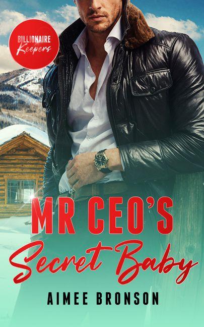 Mr. CEO's Secret Baby