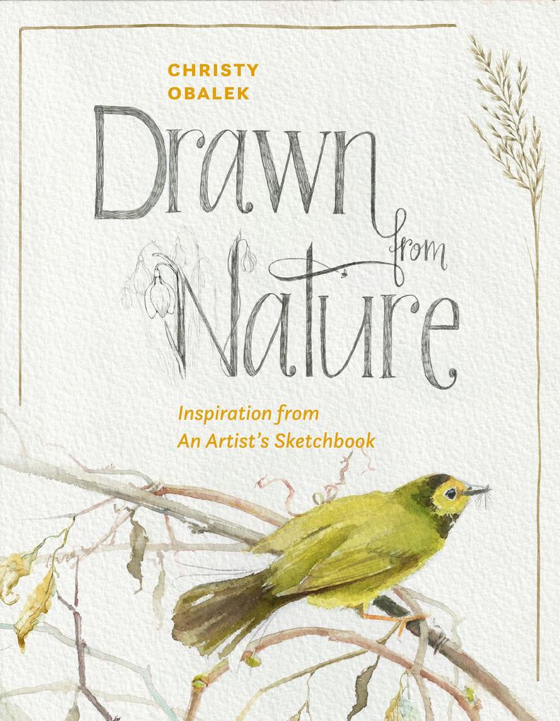 Drawn from Nature