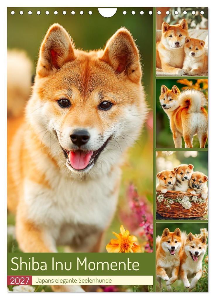 Shiba Inu Momente. Japans elegante Seelenhunde (Wandkalender 2027 DIN A4 hoch) CALVENDO Monatskalender