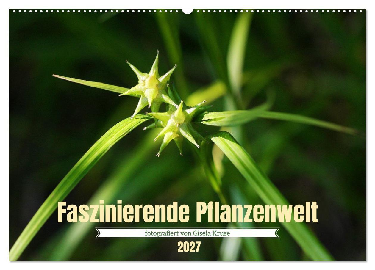 Faszinierende Pflanzenwelt (Wandkalender 2027 DIN A2 quer) CALVENDO Monatskalender
