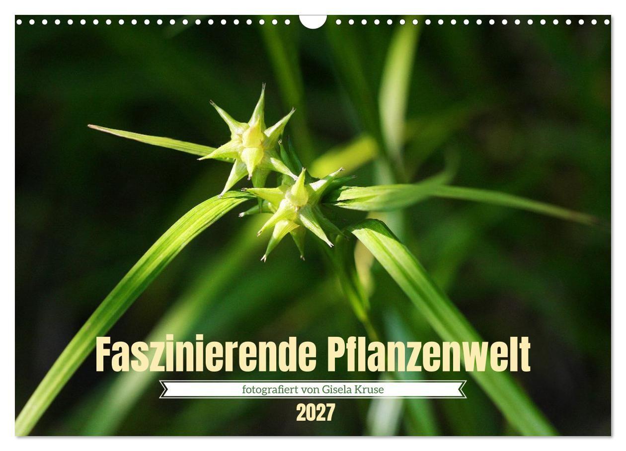 Faszinierende Pflanzenwelt (Wandkalender 2027 DIN A3 quer) CALVENDO Monatskalender