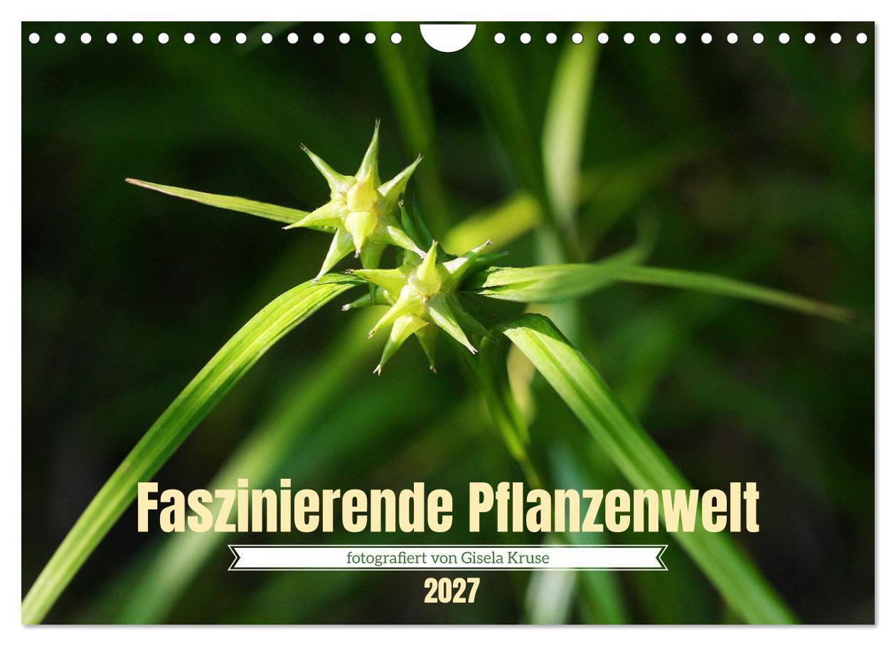 Faszinierende Pflanzenwelt (Wandkalender 2027 DIN A4 quer) CALVENDO Monatskalender