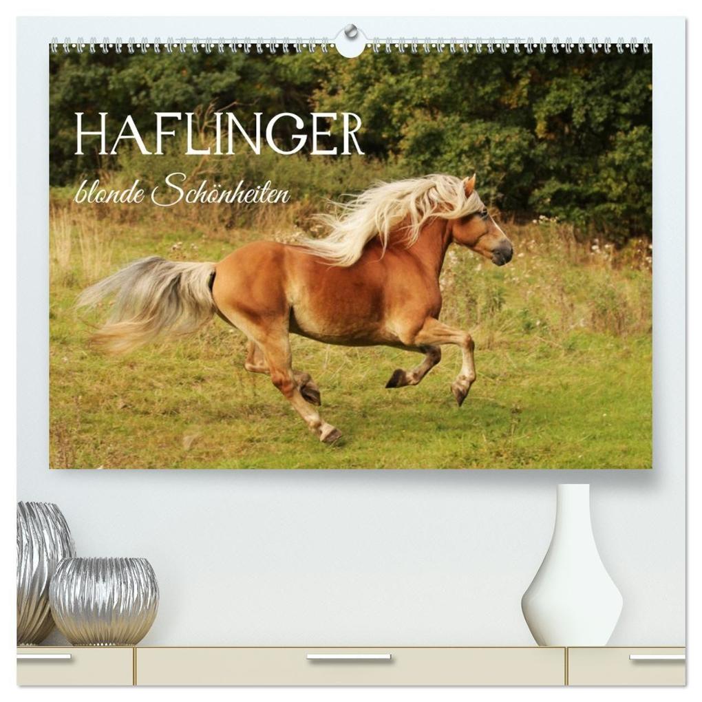 Haflinger - blonde Schönheiten (hochwertiger Premium Wandkalender 2027 DIN A2 quer) Kunstdruck in Hochglanz